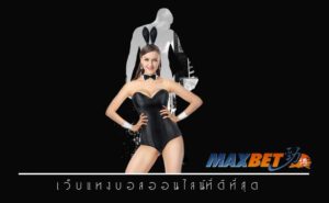 vipmaxbet-thai-sbo-24hr-1